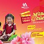 Trường Mầm Non Anh Việt Mỹ Quận 12